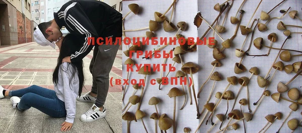 метадон Белокуриха
