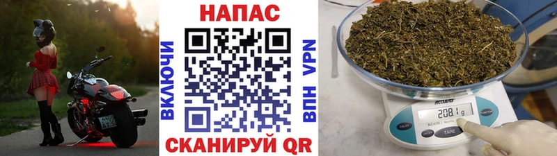 как найти наркотики  Нариманов  Марихуана конопля 